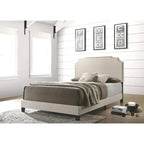 Upholstered Platform Bed – Green / Black / Beige, Nailhead Trim, Full / Queen / King, Fits 1–2